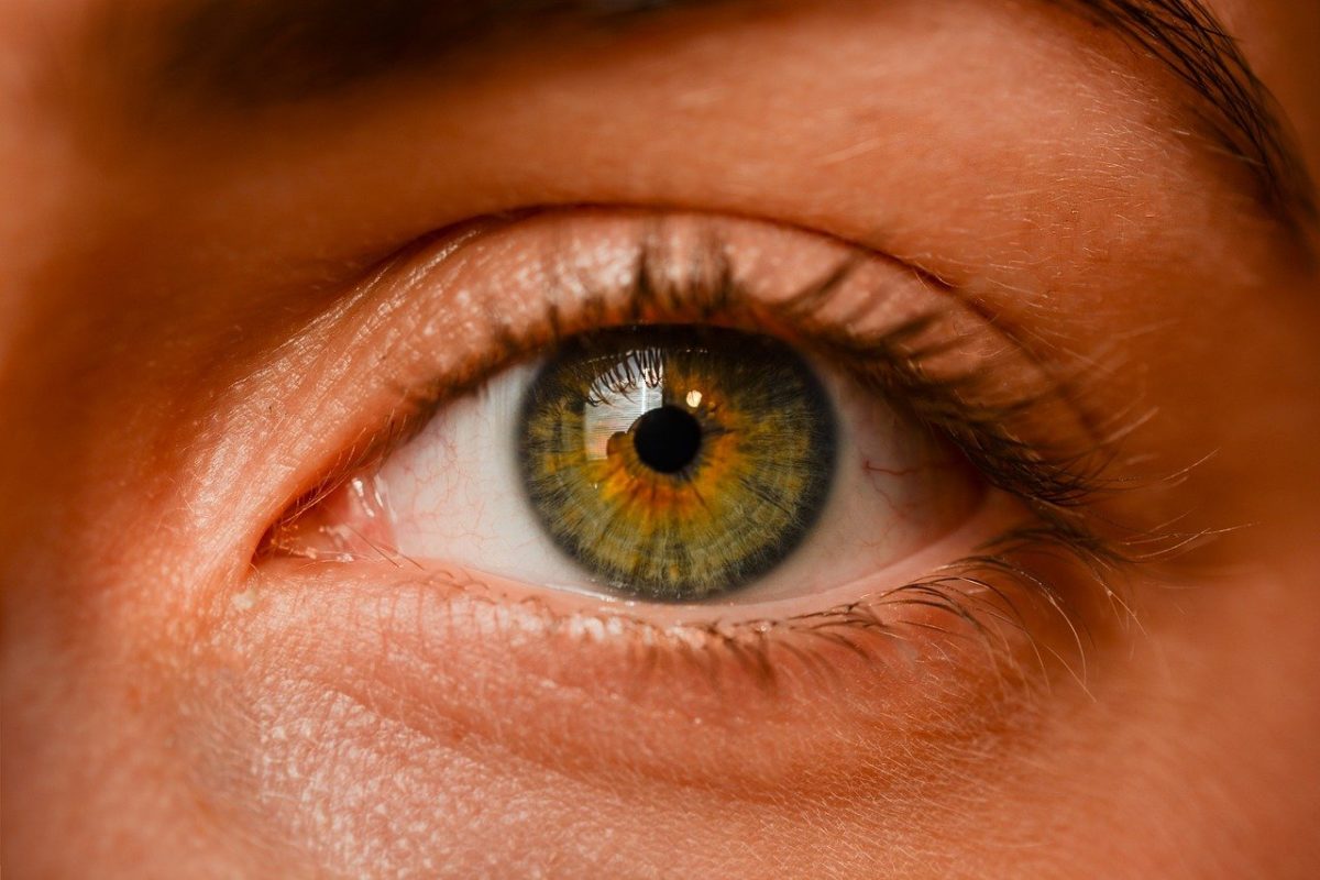 Oczy to wyrafinowany organ. To właśnie dzięki nim widzimy.